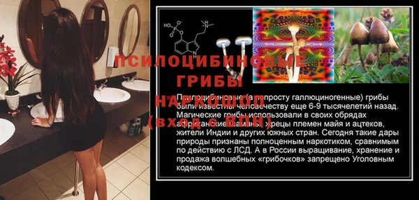 прущий лед Горнозаводск